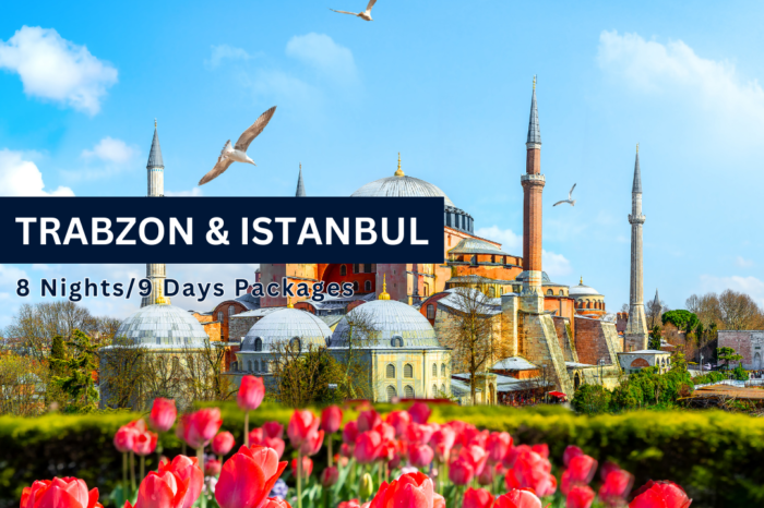 Trabzon & Istanbul