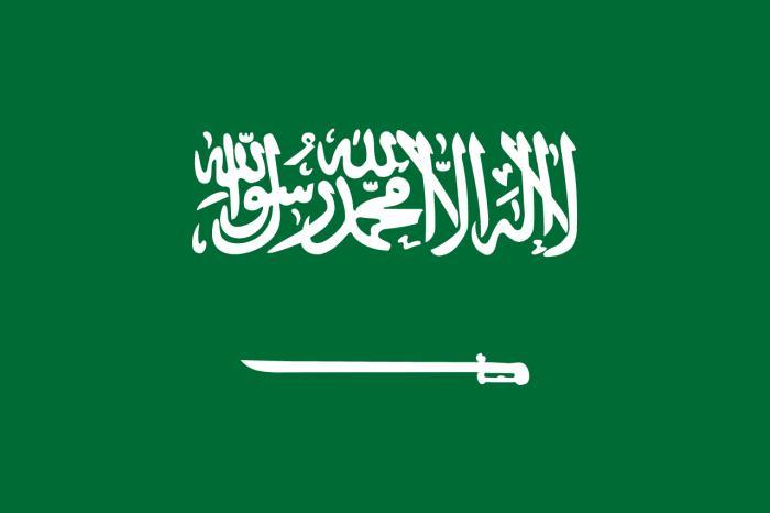 Saudi Business visa